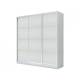 Шкаф-купе Хит 22-18/2-111