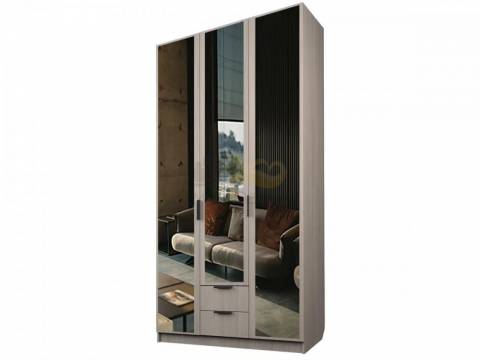 Шкаф с 2 ящиками Экон ЭШ3-РП-21-12/1-2я три зеркала