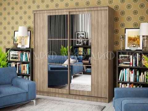 Шкаф-купе Элегант-3 Ясень шимо темный