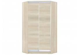 Шкаф-купе Хит-У-22-4-11