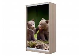 Шкаф-купе Хит 23-14-77 фото 25