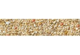 Фартук с фотопечатью Ракушки SP020